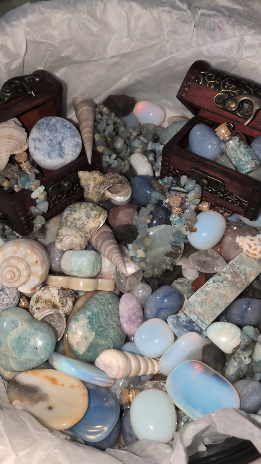 Life's a beach treasure scoops!