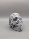 Kiwi Jasper Skull