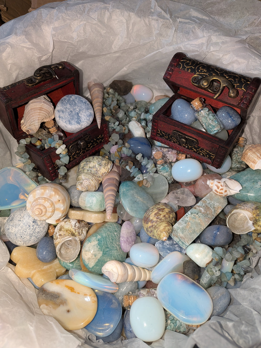 Life's a beach treasure scoops!