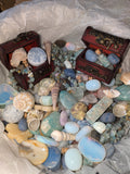 Life's a beach treasure scoops!