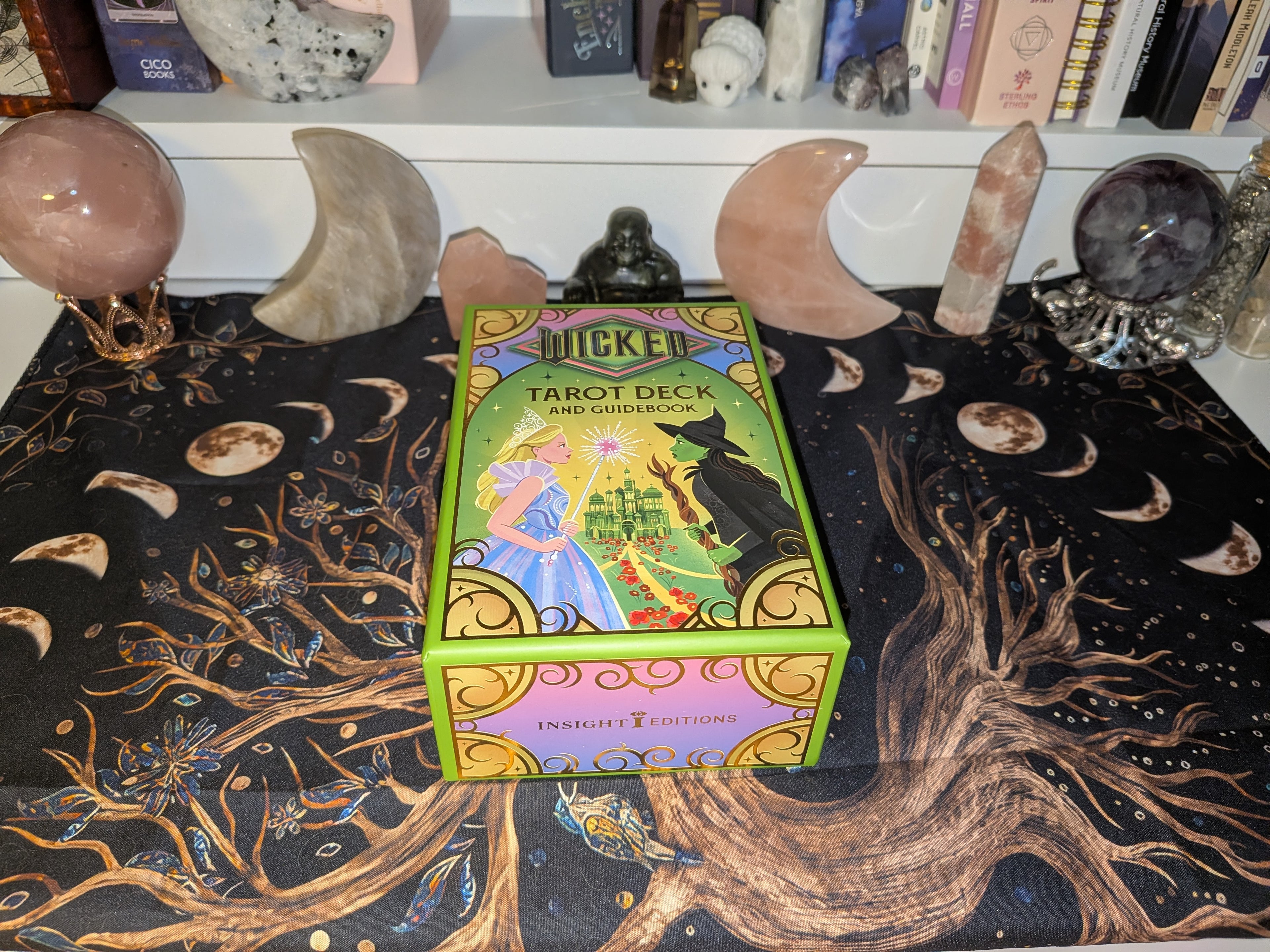 Wicked Tarot Reading