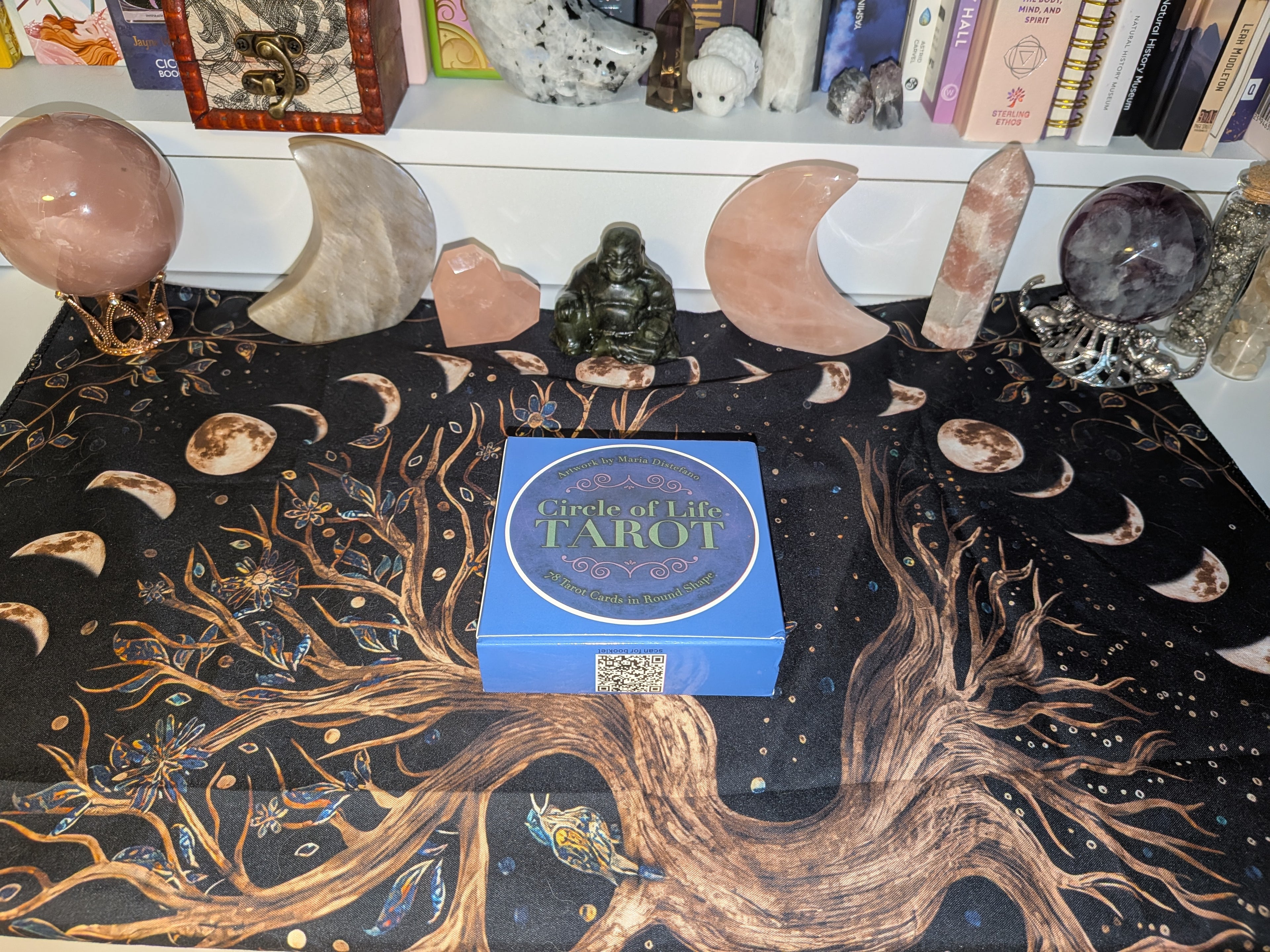 Circle of life Tarot reading