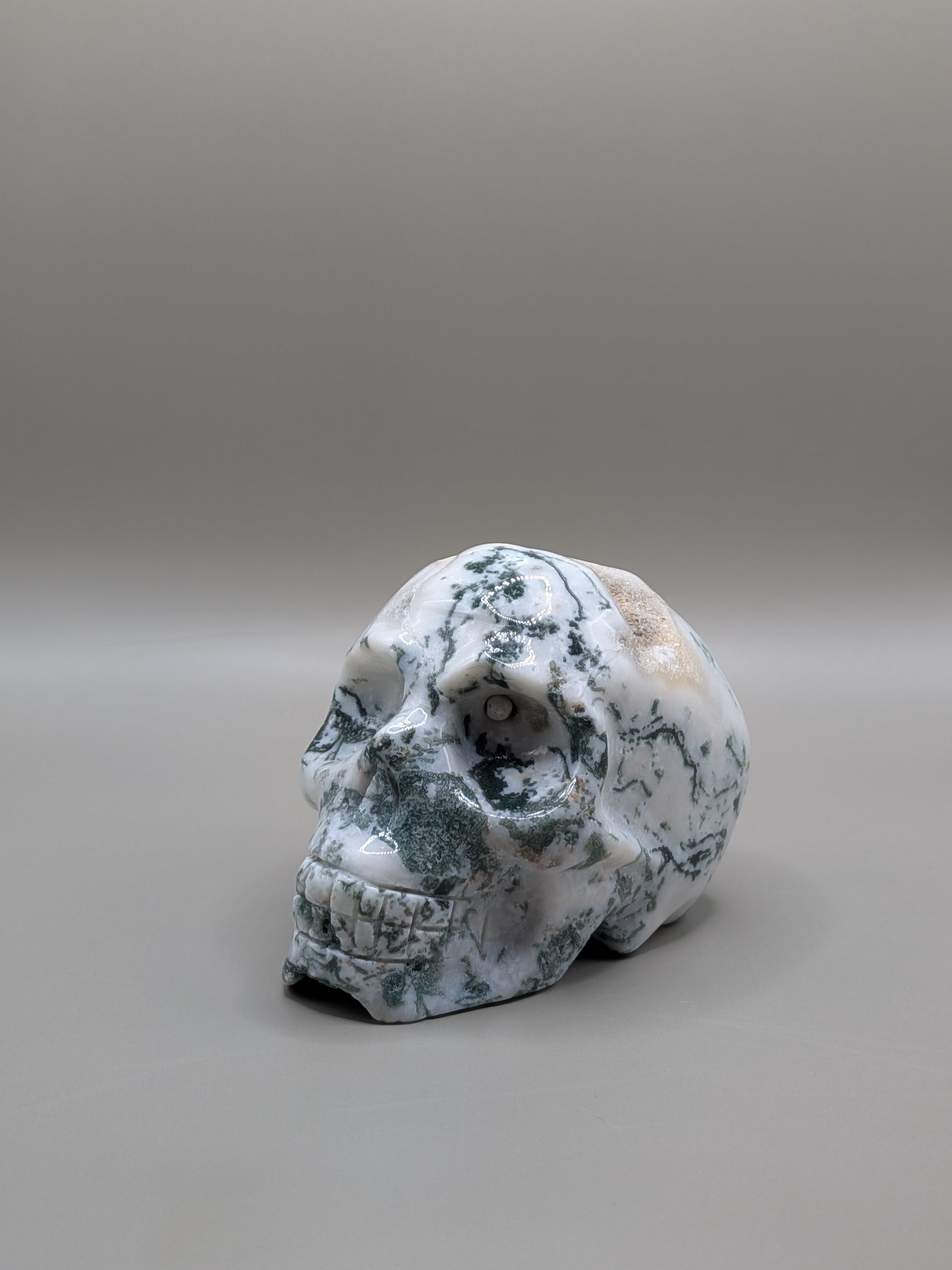 Moss Agate Druzy Skull