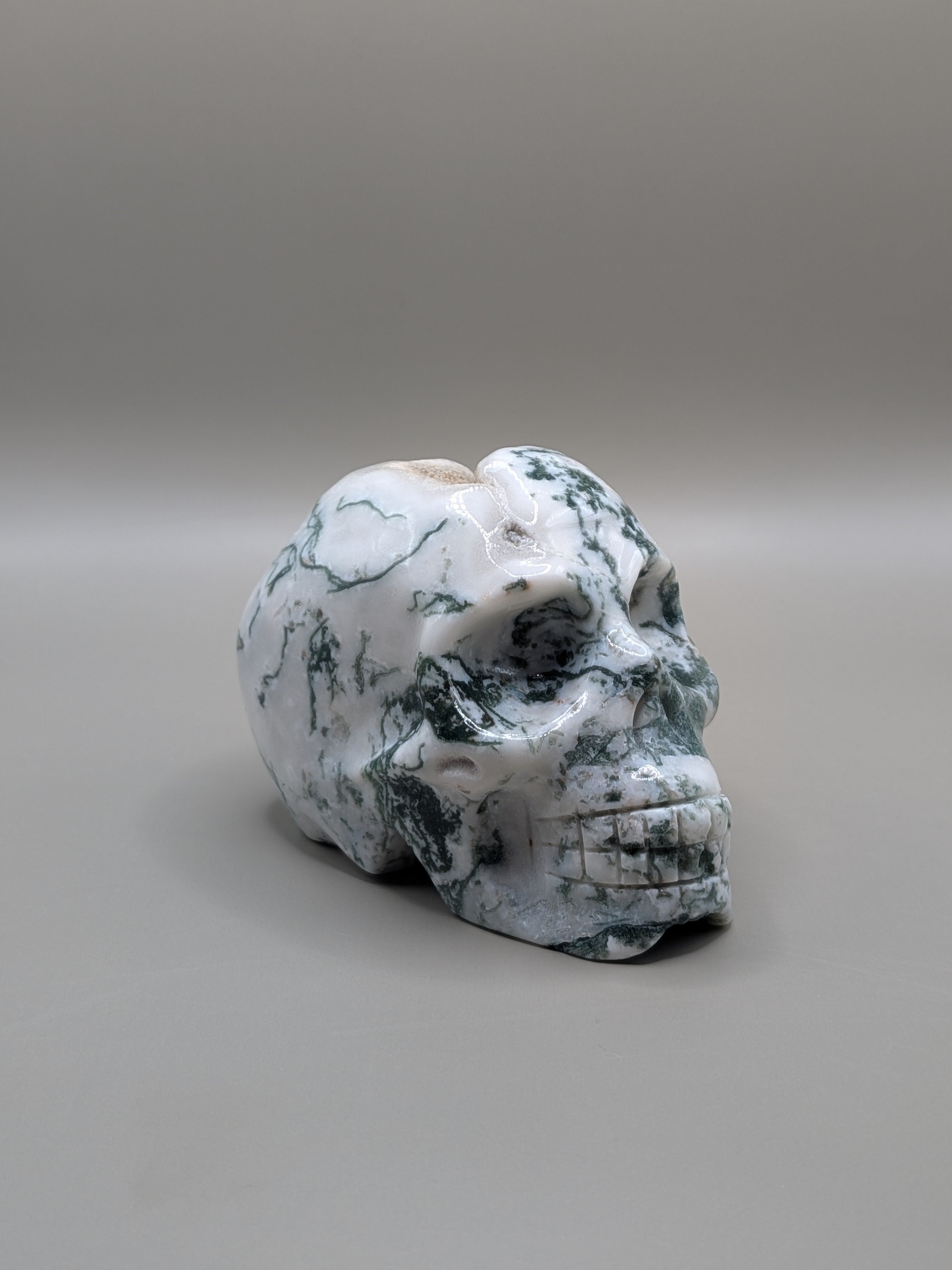 Moss Agate Druzy Skull
